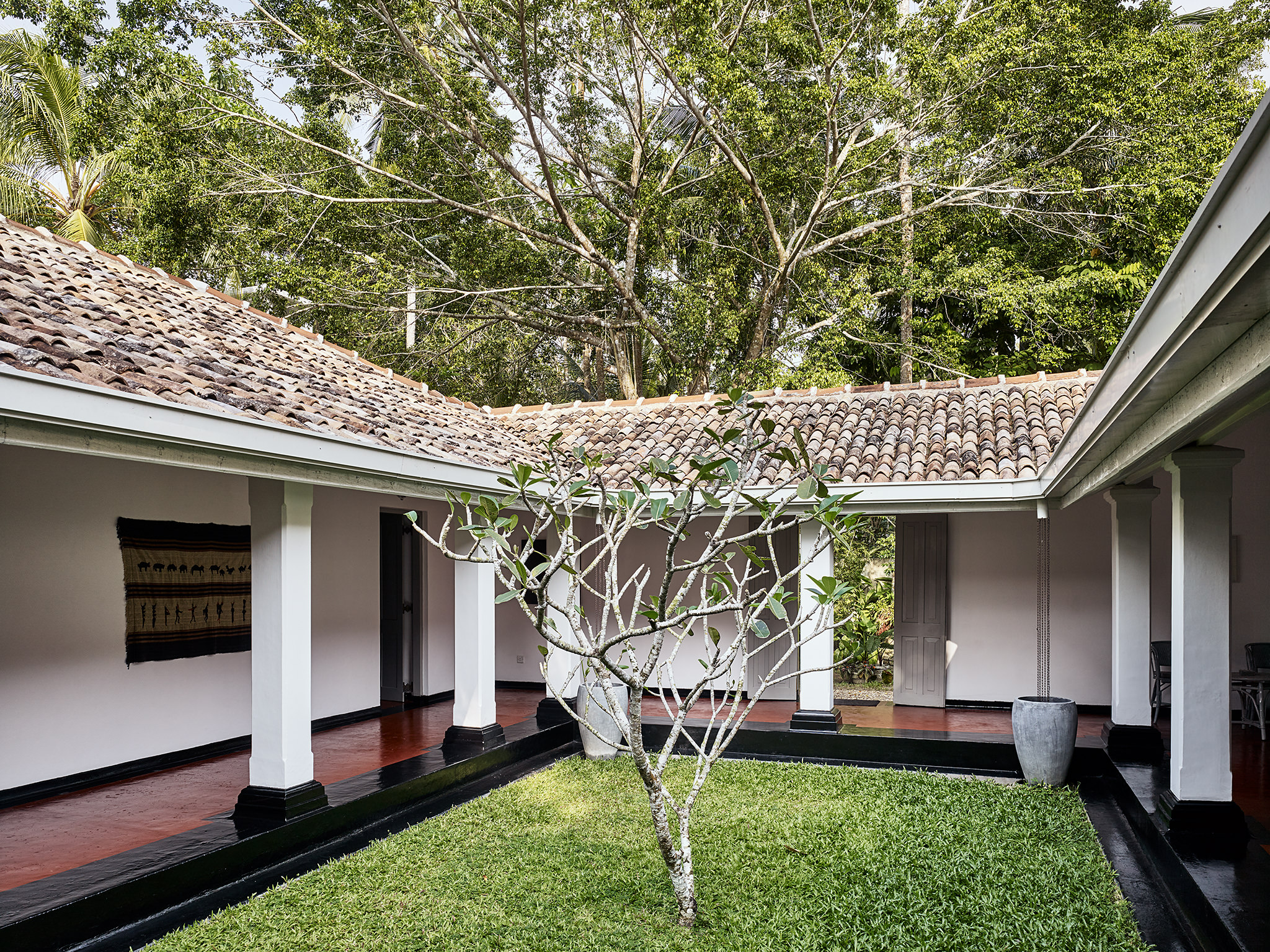 E16583 Alpa 055492 SCREEN